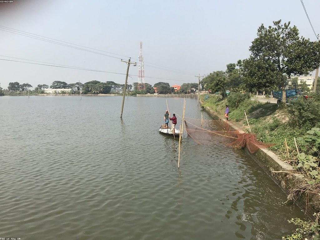 បច្ចេកទេសកាន់កាប់ប្រកួតត្រីលំដាប់ខ្ពស់