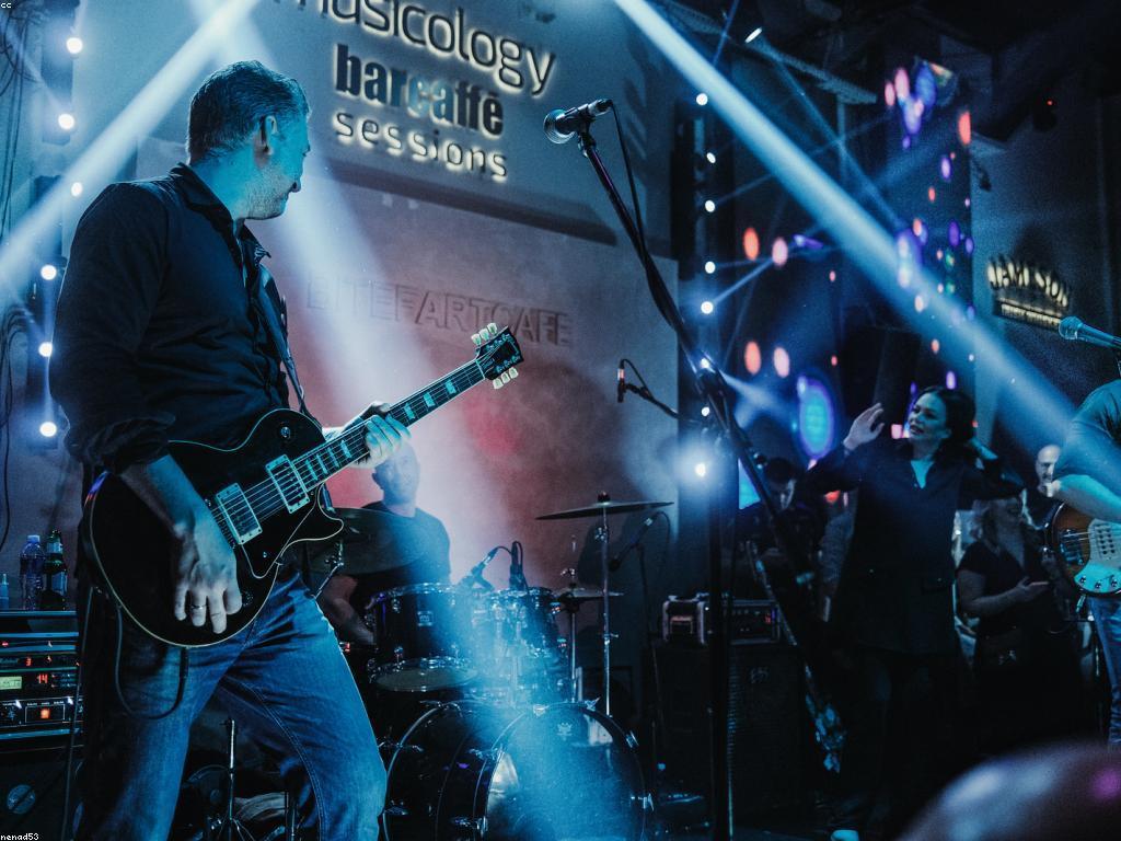 រាយការណ៍ក្តៅ: ការវិភាគនិងសកម្មភាពក្នុងសង្គម