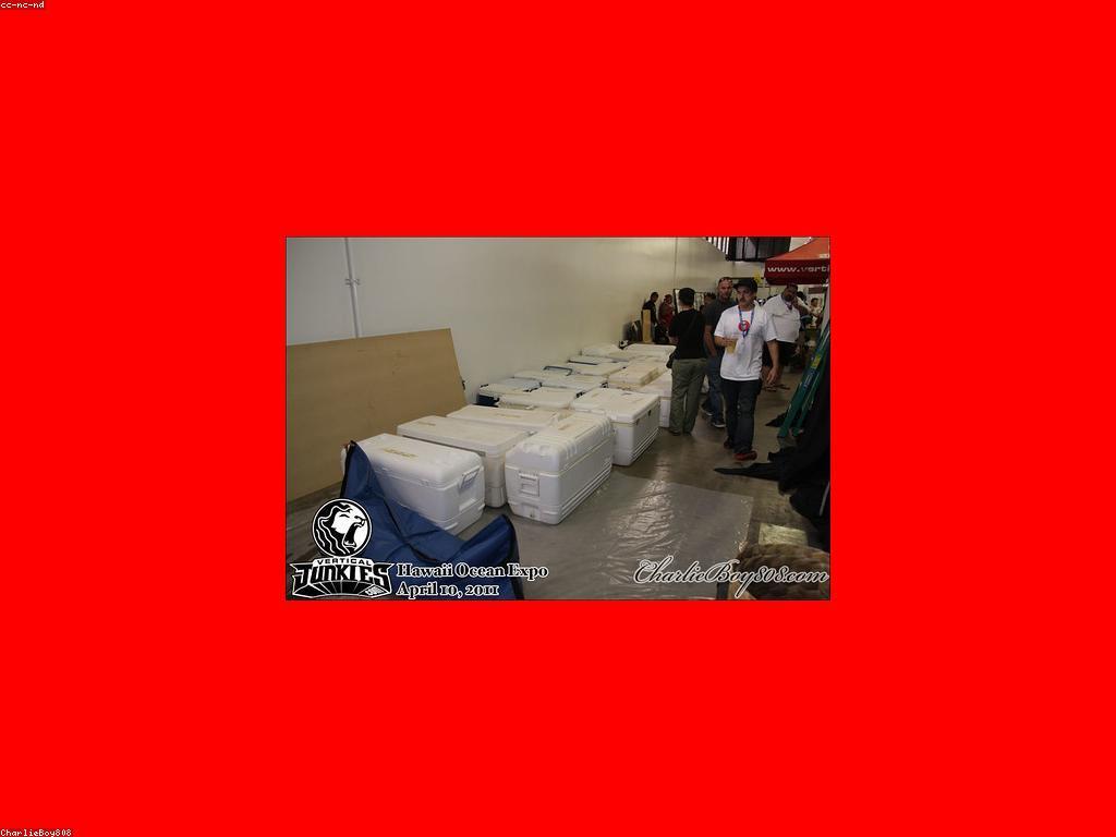 ការប្រកួតត្រី: របៀបចូលរួម និងការបង្ហាញសមត្ថភាព