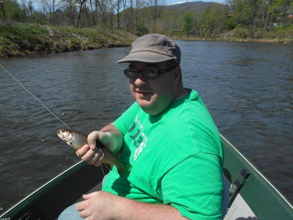 មគ្គូឌីសម្រាប់ការប្រកួតត្រី
